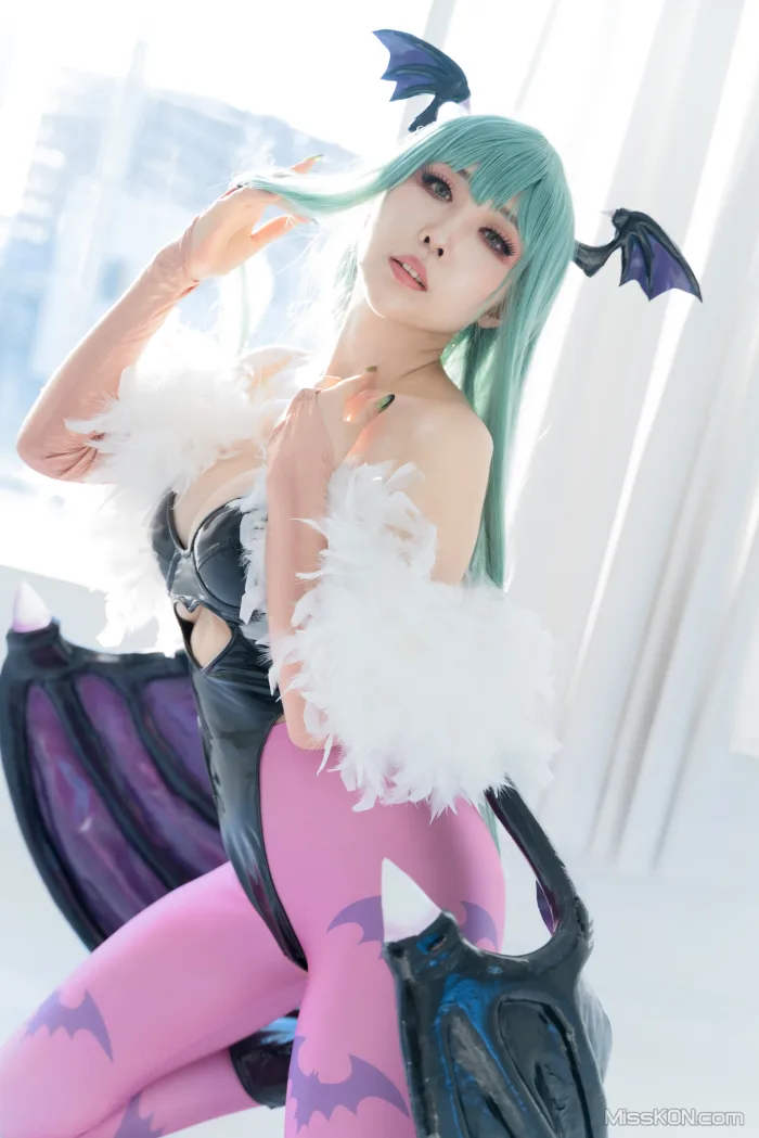 Coser@Reku Momoiro (桃色れく): MORRIGAN AENSLAND (243 photos)