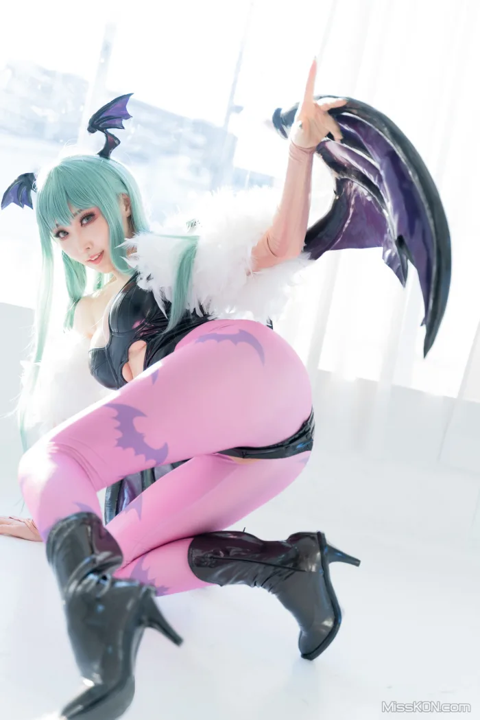 Coser@Reku Momoiro (桃色れく): MORRIGAN AENSLAND (243 photos)