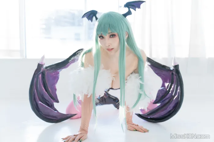 Coser@Reku Momoiro (桃色れく): MORRIGAN AENSLAND (243 photos)