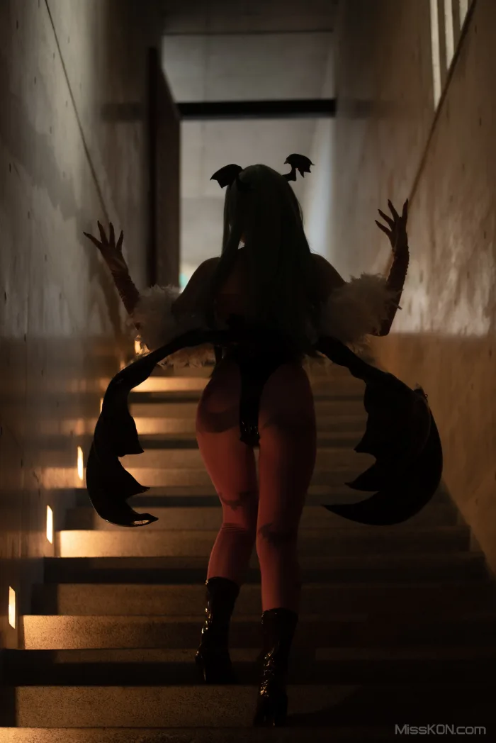 Coser@Reku Momoiro (桃色れく): MORRIGAN AENSLAND (243 photos)