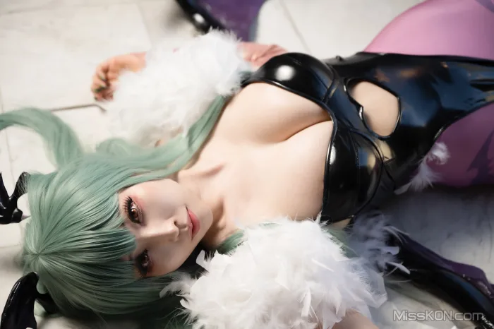 Coser@Reku Momoiro (桃色れく): MORRIGAN AENSLAND (243 photos)