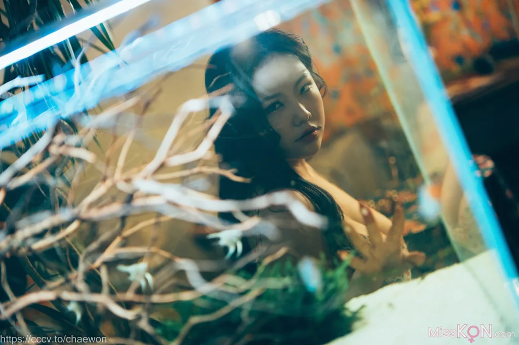 [Loozy] Sunhye (선혜): Holyday in Hongkong (104 photos)