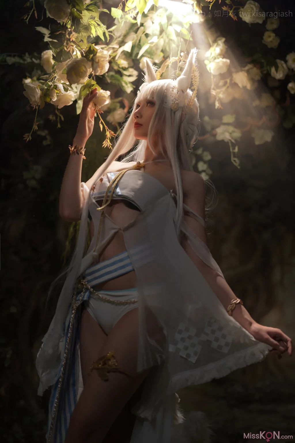 Coser@如月灰: Platinum ARK (17 photos)