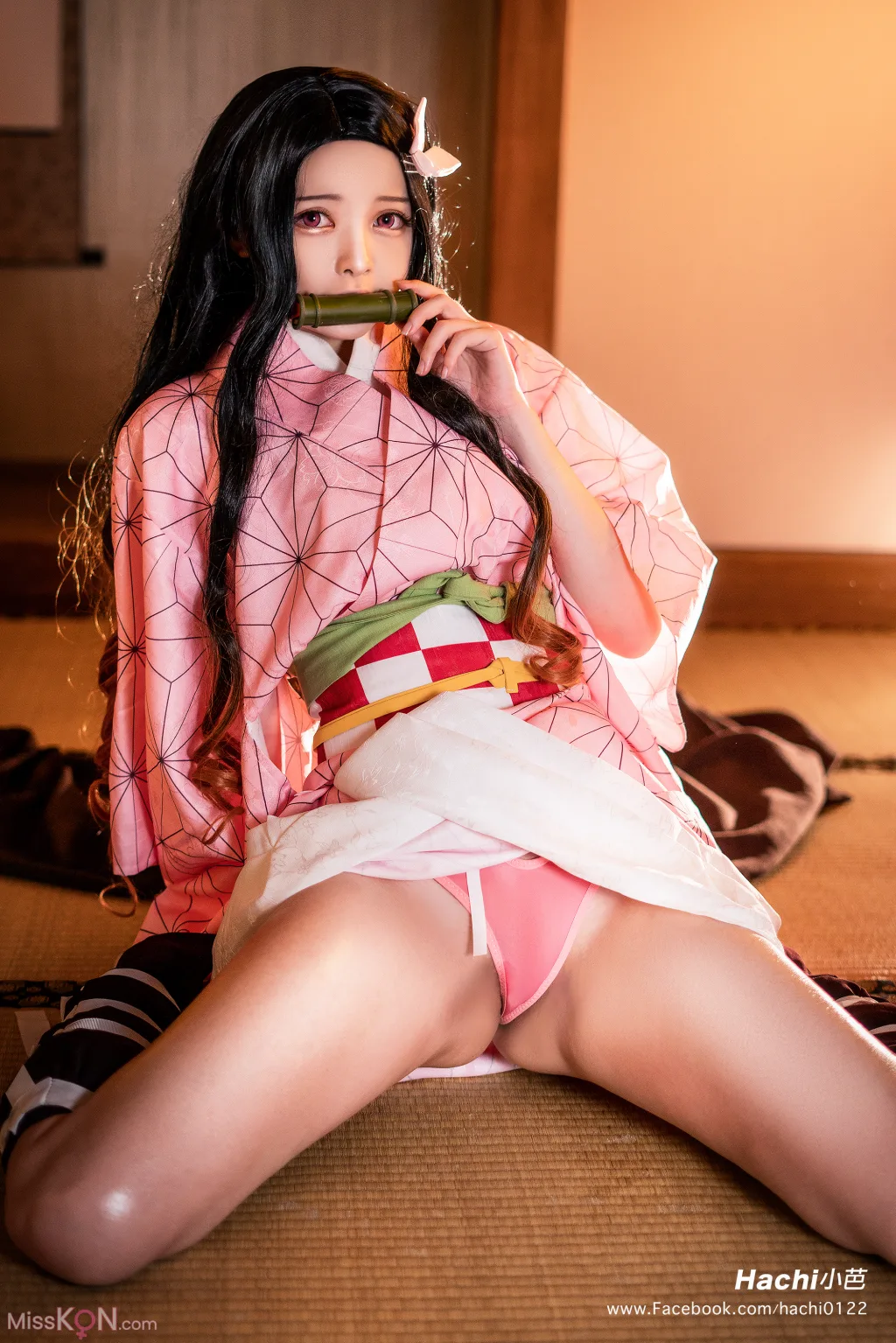 Coser@Hachi_小芭: 灶门祢豆子 (18 ảnh )