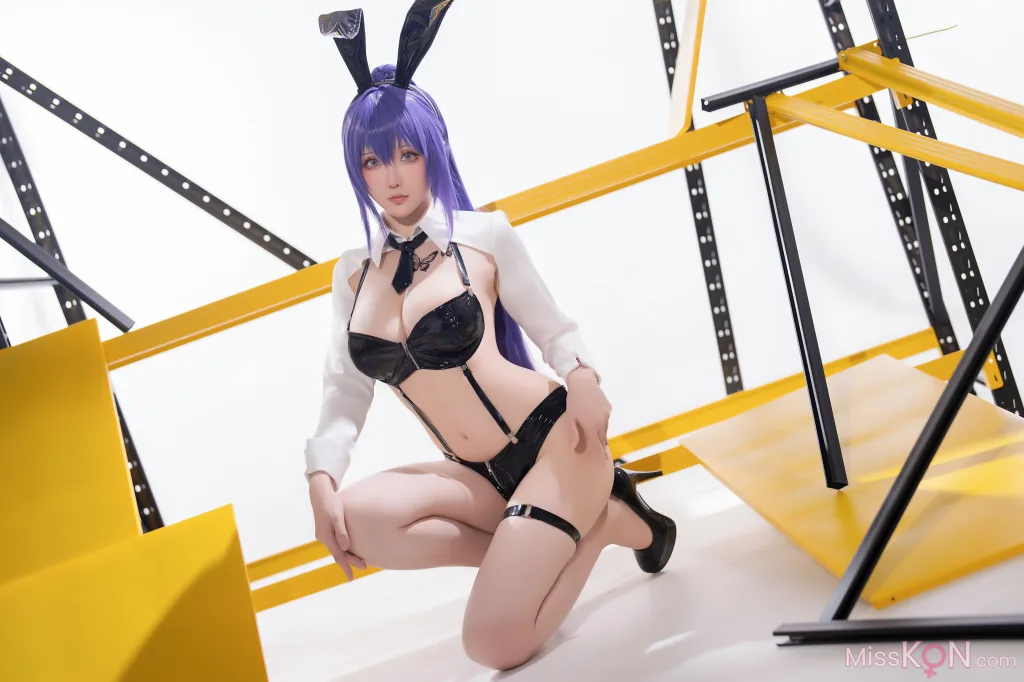 Coser@星之迟迟Hoshilily: 2025年02月计划B 画师同人 尤娜兔女郎 (28 photos)