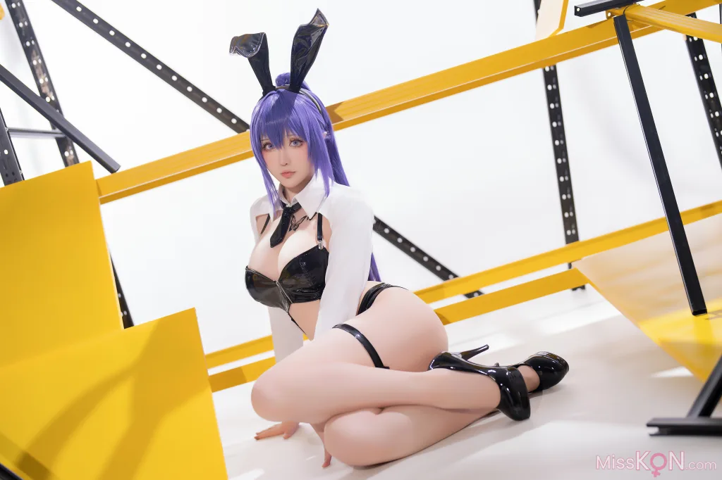 Coser@星之迟迟Hoshilily: 2025年02月计划B 画师同人 尤娜兔女郎 (28 photos)