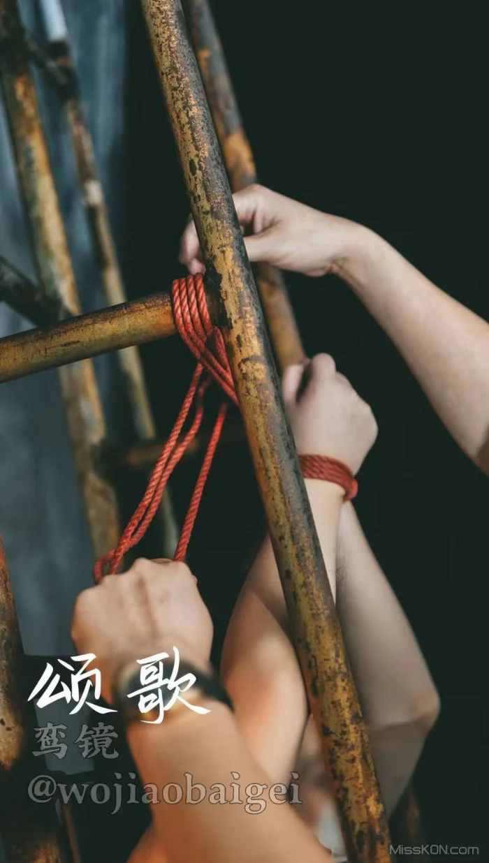 HK先生: 性感色情写拍 众多福利姬美女尺度福利合集 (291 photos + 2 videos)