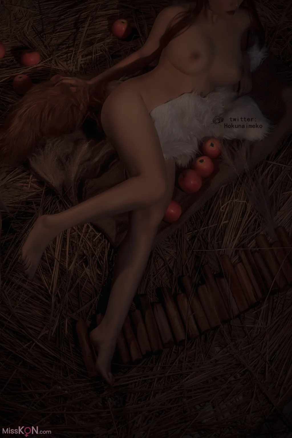 Coser@Hokunaimeko (北乃芽子): 赫萝 (41 ảnh) - ( Page 1 / 3 )