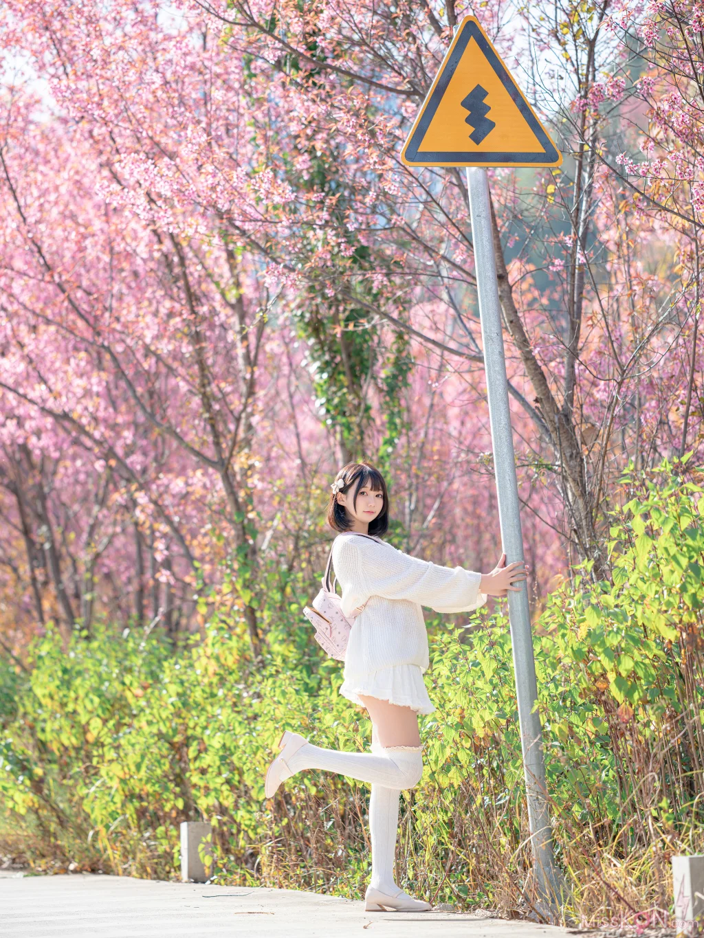 Coser@NAGISA魔物喵: 桜 (64 photos)