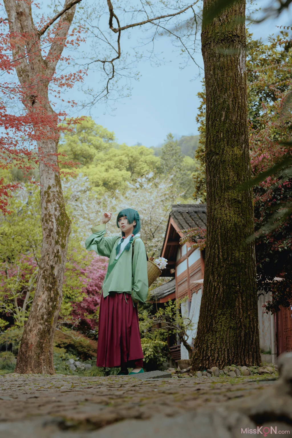 Coser@矢量鱼: Maomao (52 photos)