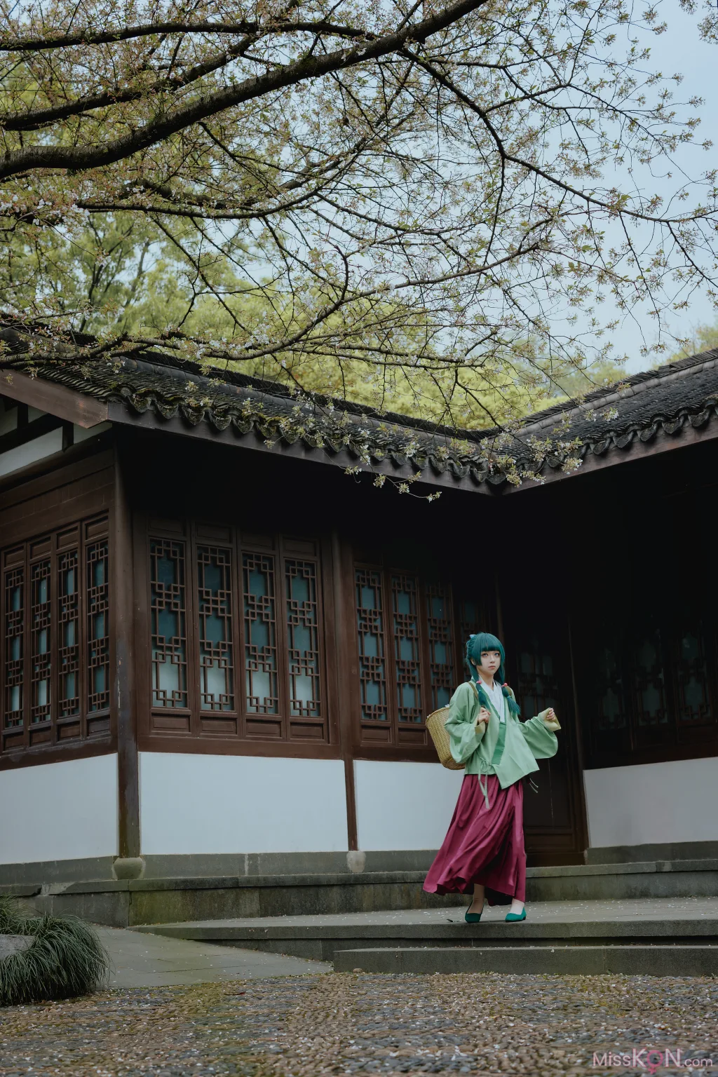 Coser@矢量鱼: Maomao (52 photos)