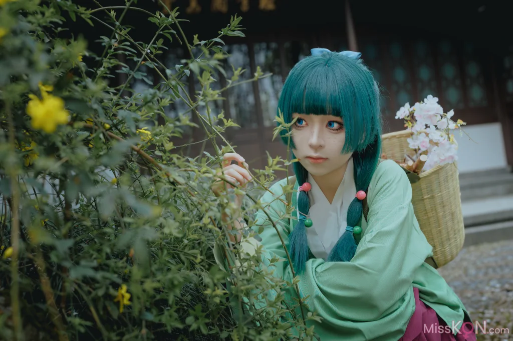 Coser@矢量鱼: Maomao (52 photos)
