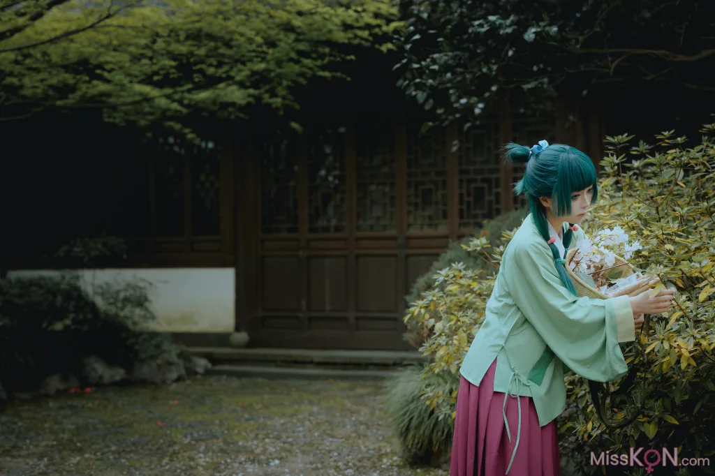 Coser@矢量鱼: Maomao (52 photos)