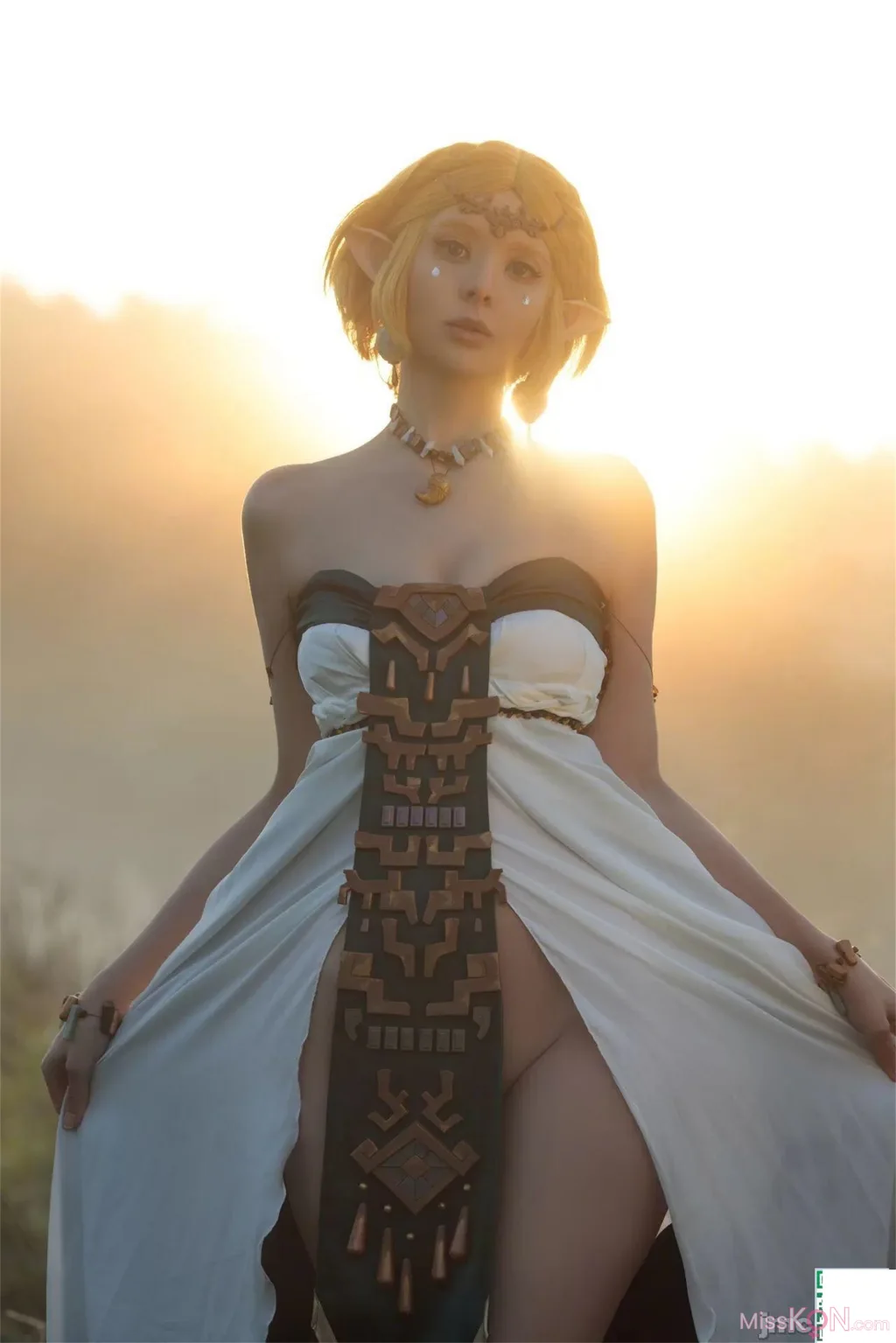 Coser@Vinnegal: Zelda (75 photos)