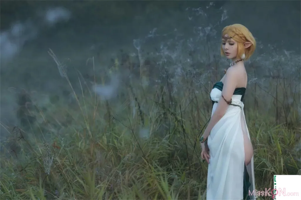 Coser@Vinnegal: Zelda (75 photos)