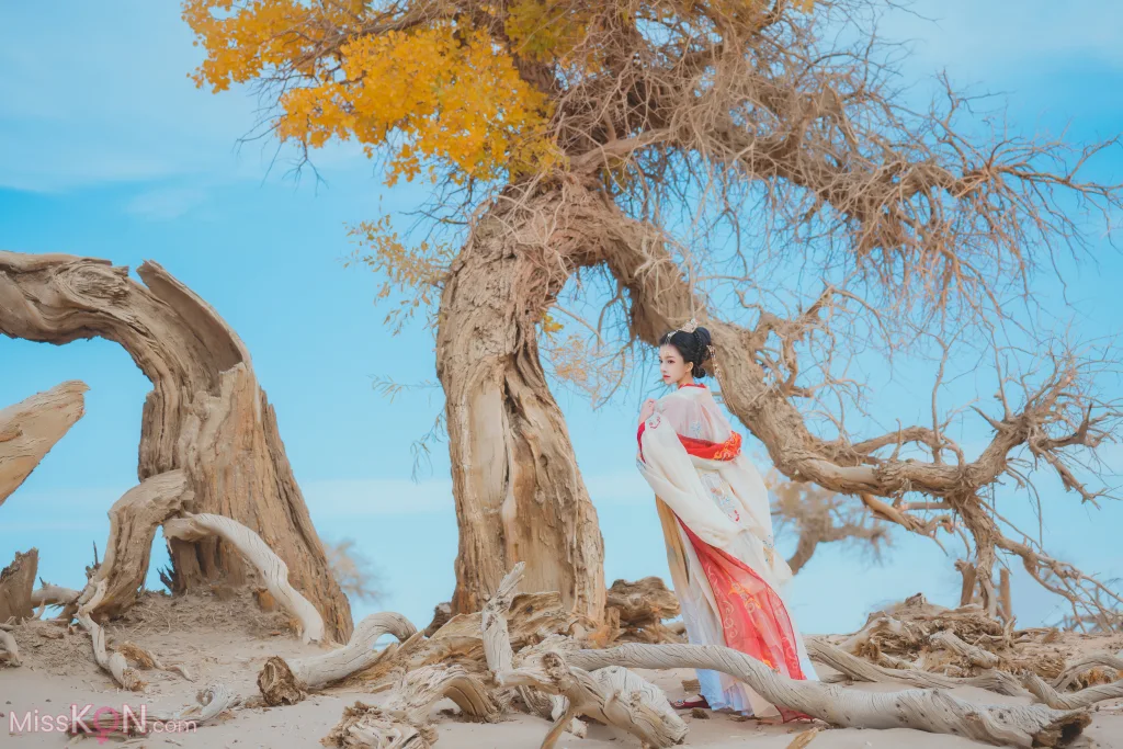 Coser@桜桃喵: 惊鸿 (15 photos)