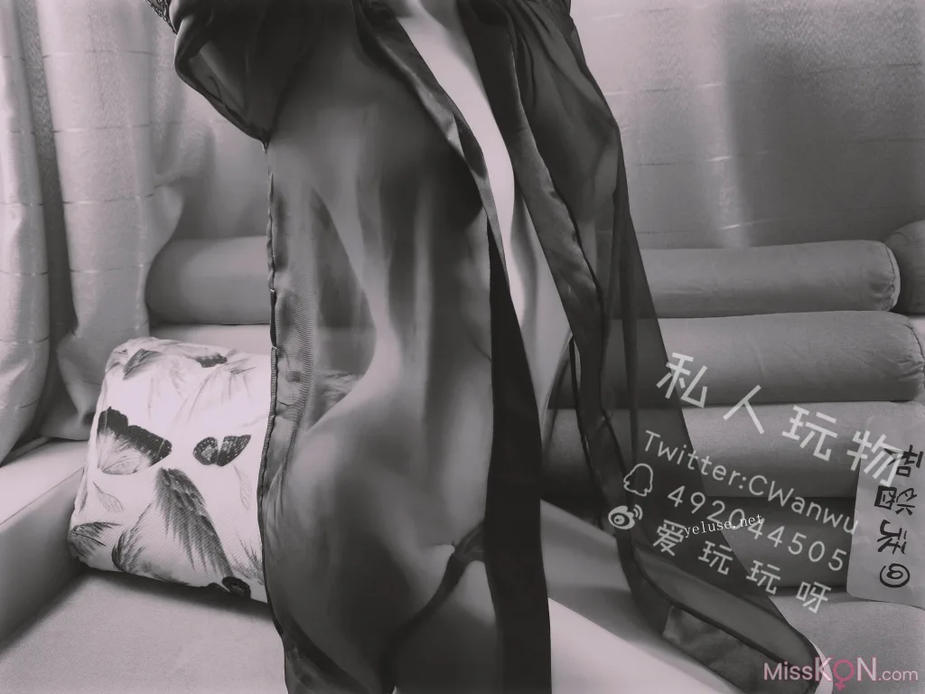 Coser@私人玩物: 性感透视情趣诱惑特辑 (46 photos + 4 videos)
