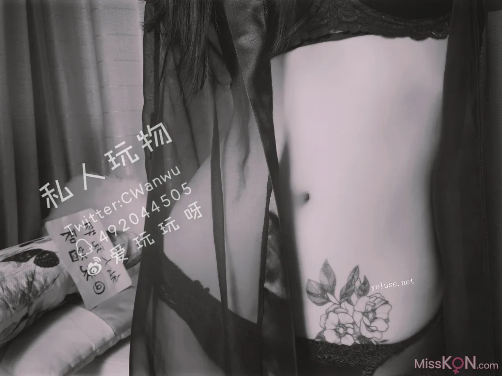 Coser@私人玩物: 性感透视情趣诱惑特辑 (46 photos + 4 videos) – Page 3